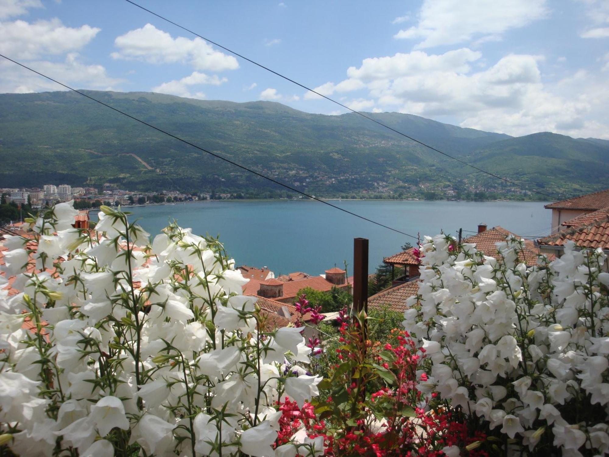 Apartments Villa Saray Ohrid Exterior foto